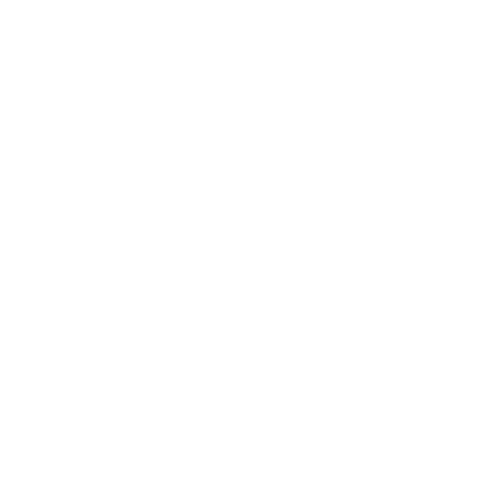TRANSPARENT WHITE LOGO